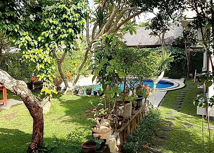Casavina 201 Batu Bolong Beach Canggu