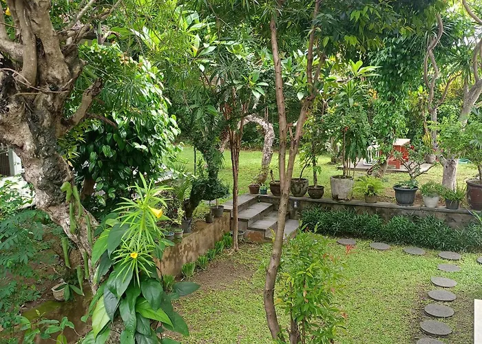 Casavina 201 Batu Bolong Beach 4* Canggu